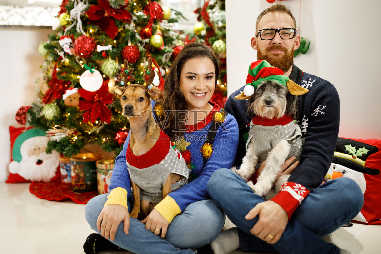 家庭与宠物圣诞肖像照片摄影图片