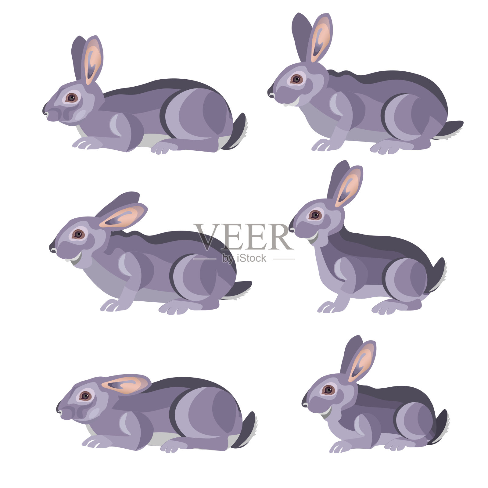 一组灰色的兔子。设计元素图片