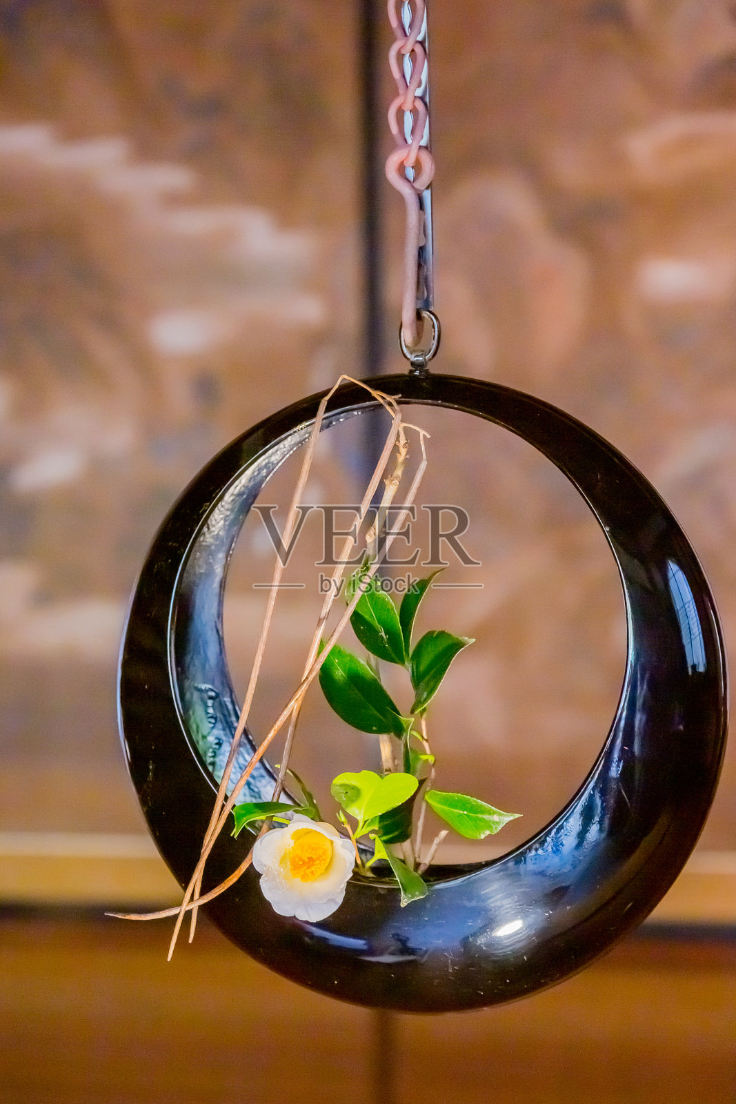 白花山茶花插花照片摄影图片