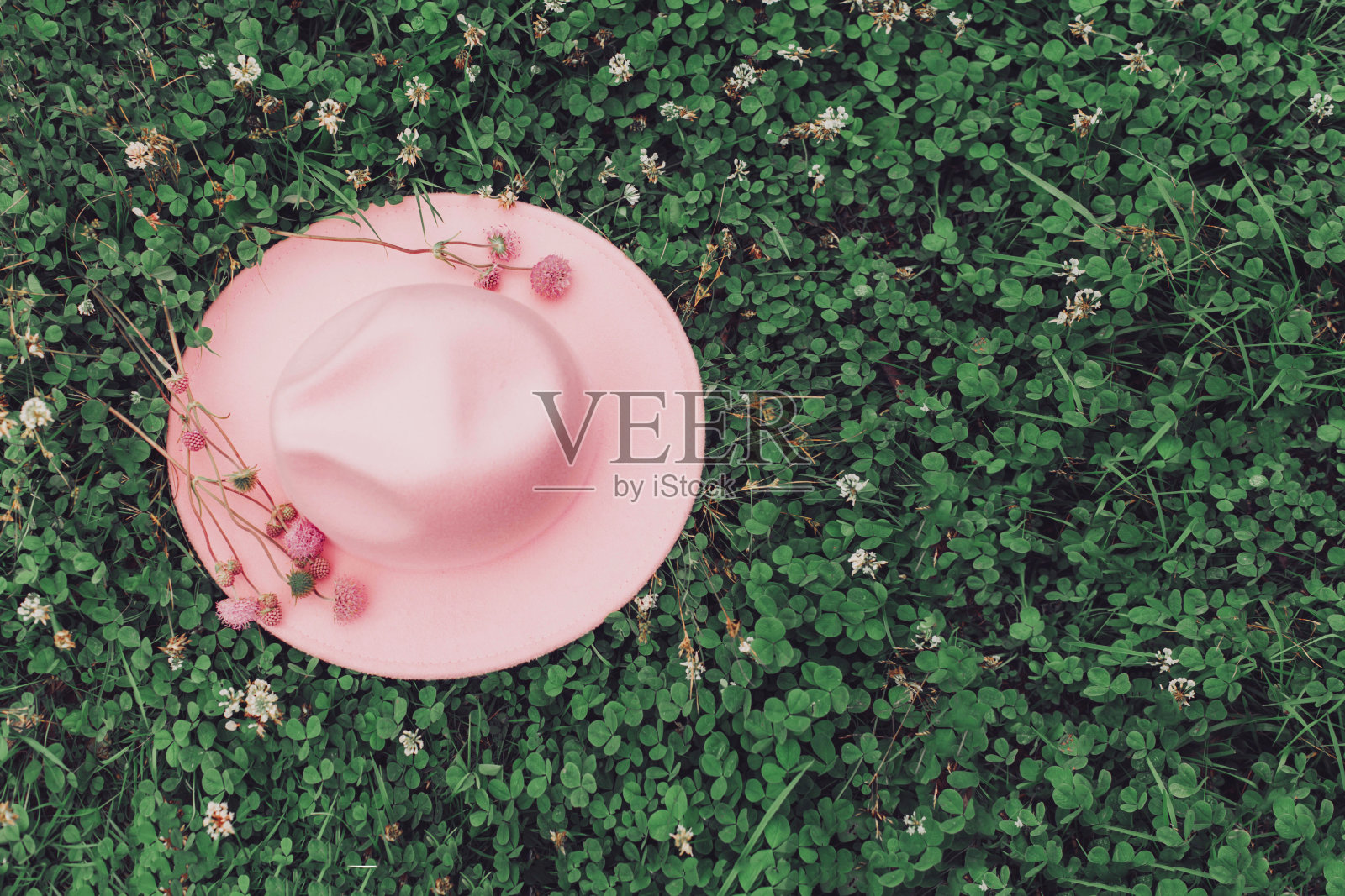 花草坪上的粉色毡帽。照片摄影图片