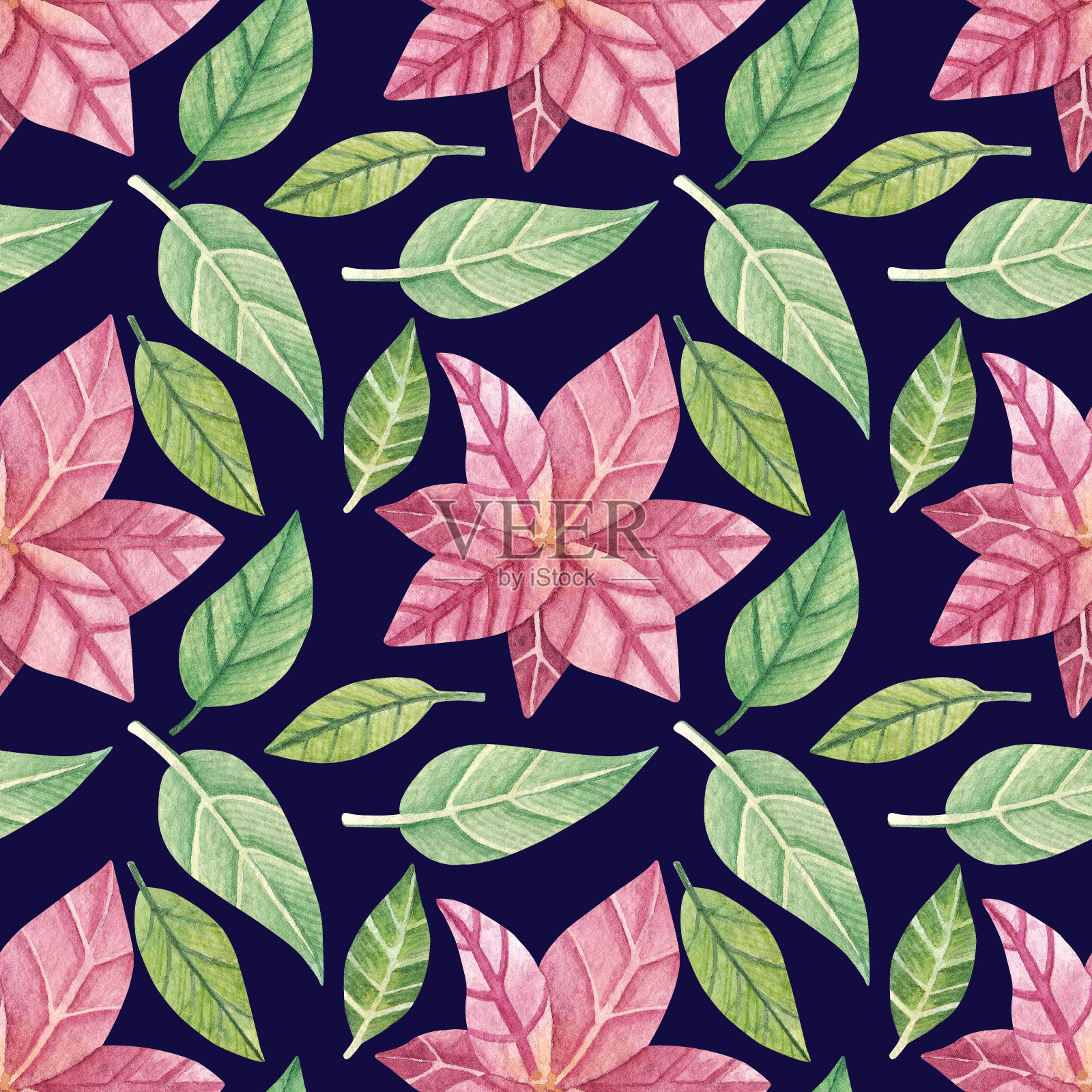 圣诞植物水彩。一品红和树叶的无缝图案，用于明信片，剪贴簿，包装纸，织物等。插画图片素材