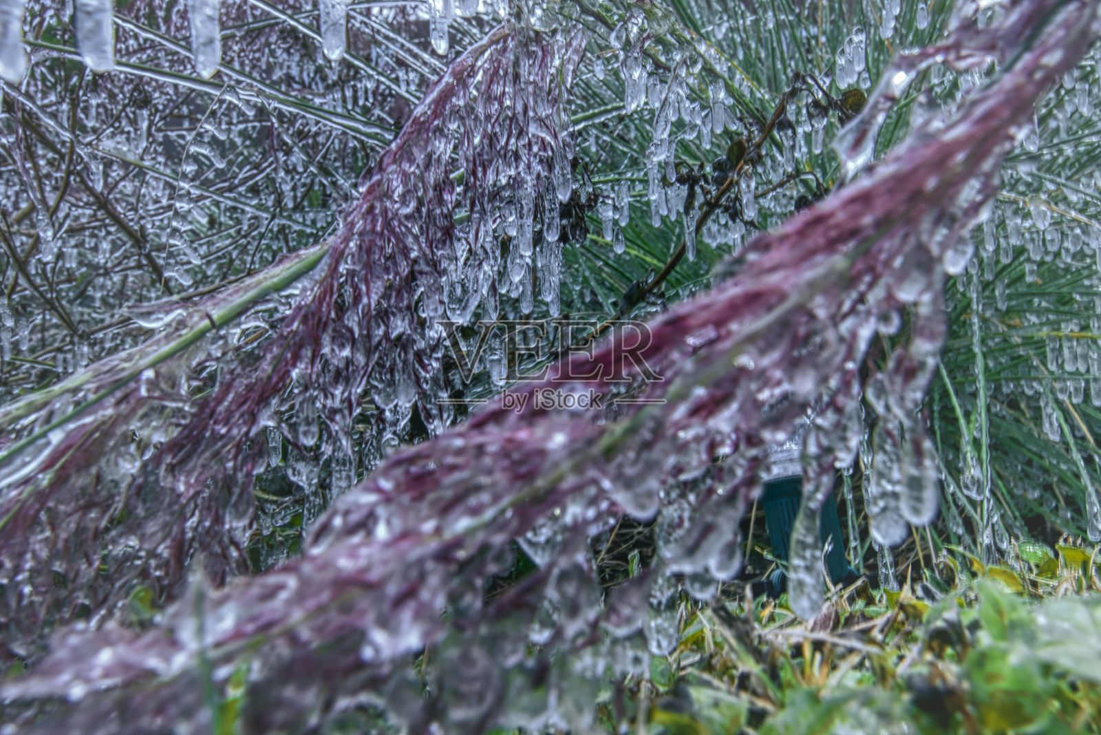 奥斯汀冰柱照片摄影图片