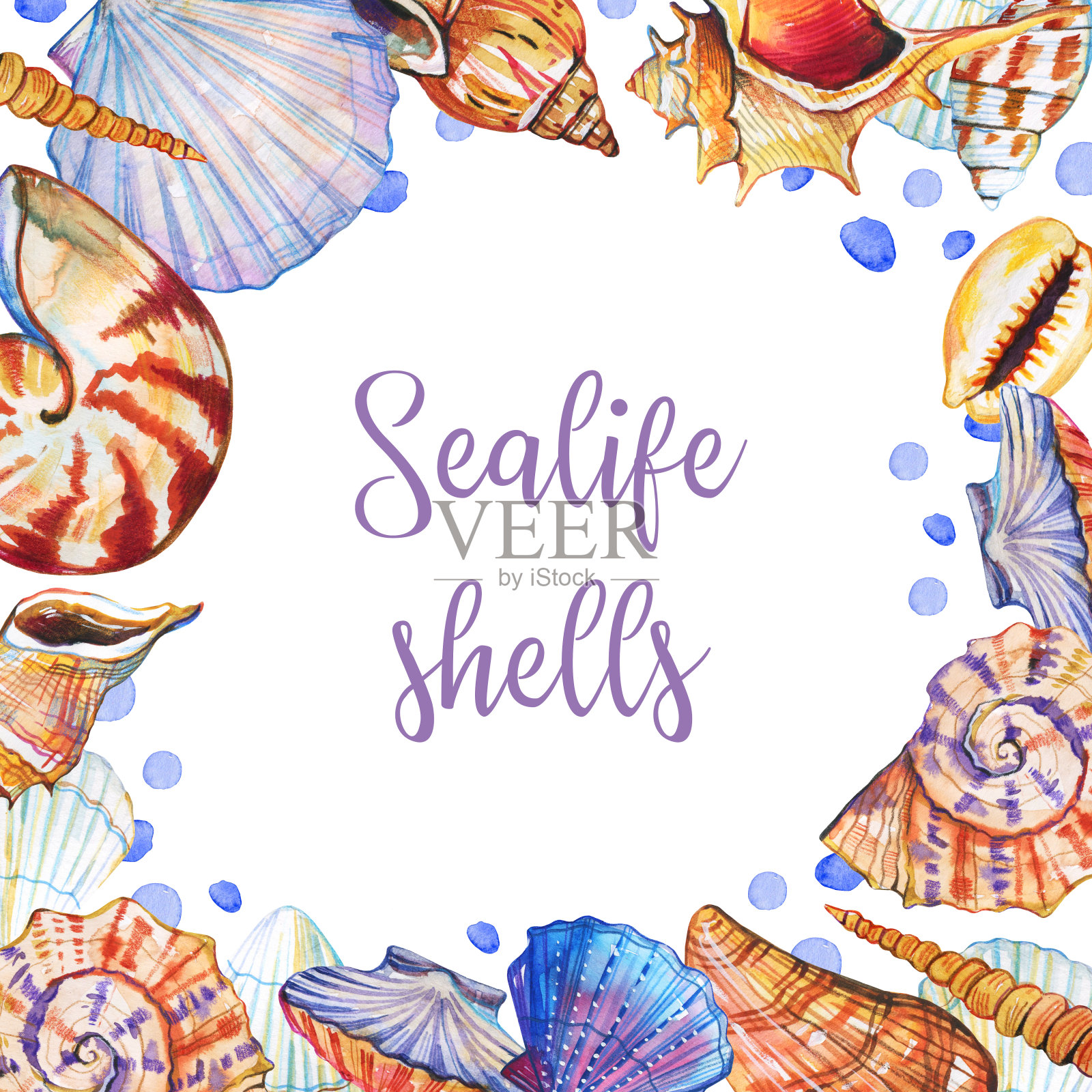 带壳的矩形框架。手绘水彩插图设计元素图片