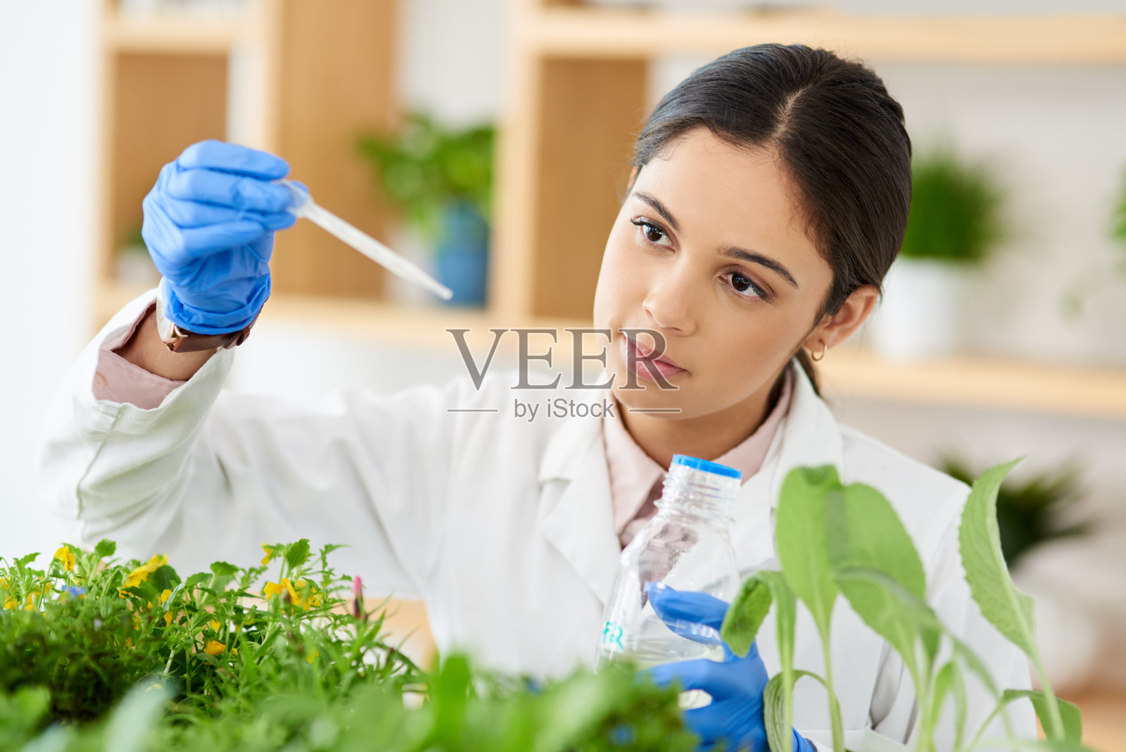 一滴就可以了照片摄影图片