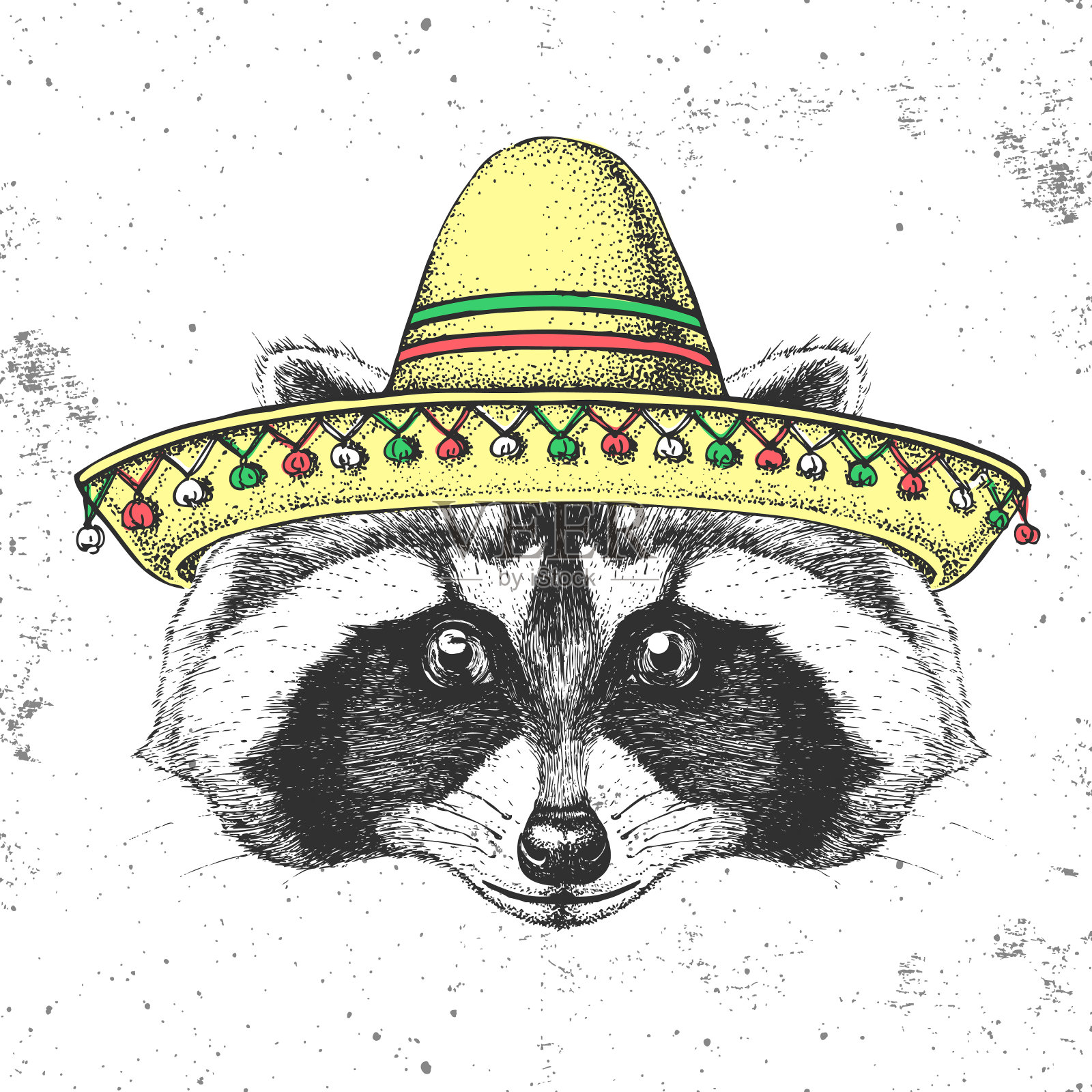 时髦的动物浣熊戴着宽边帽。手绘浣熊的口吻插画图片素材