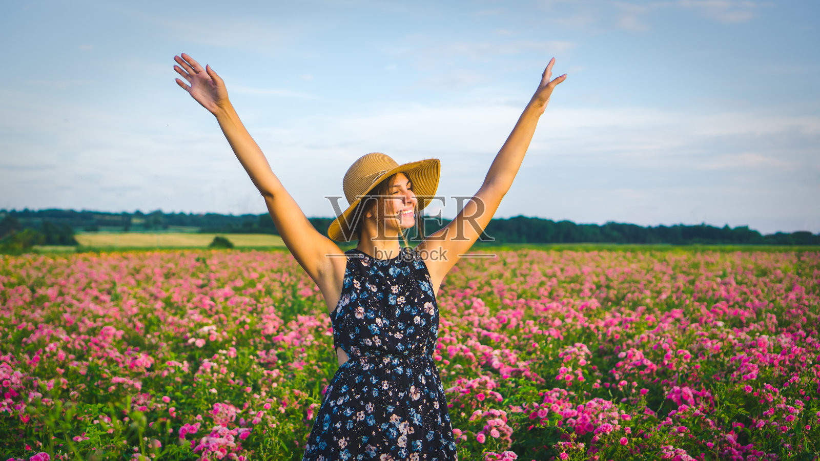 在紫色玫瑰地里微笑的年轻女子照片摄影图片