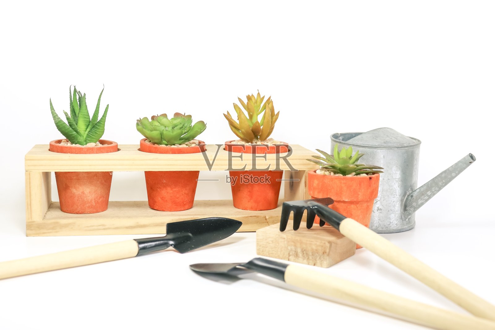 极简花园，有许多盆栽仙人掌和小工具照片摄影图片