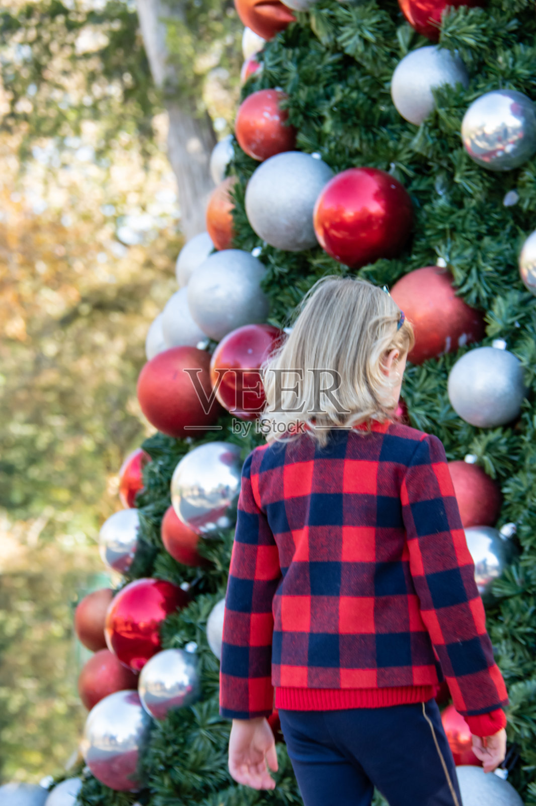 在达拉斯植物园的花园里，小女孩穿着圣诞红衣服，装饰着圣诞树和喷泉。照片摄影图片
