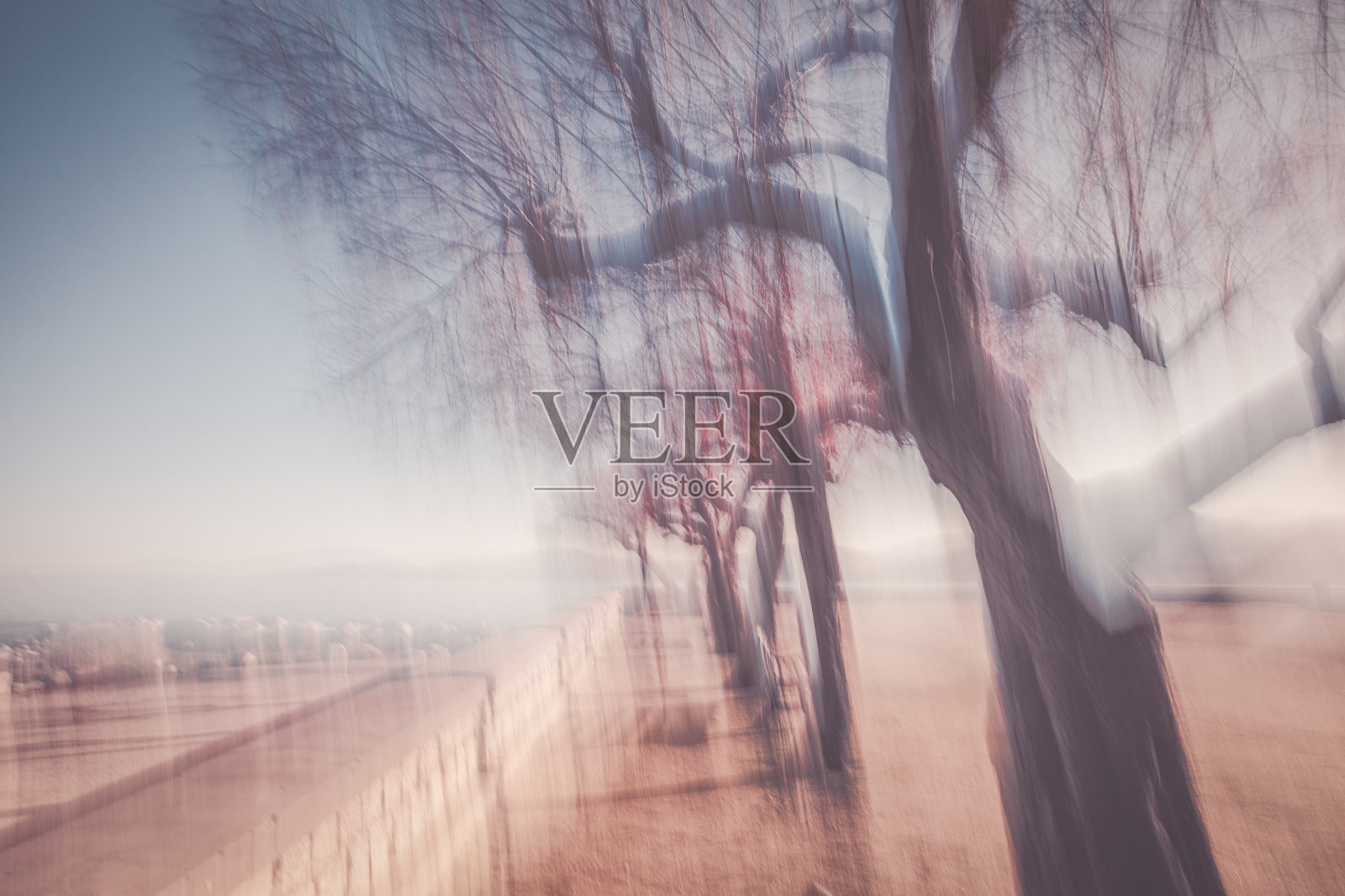 走到海边的公园照片摄影图片