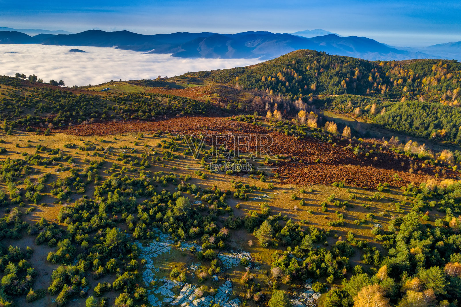 鸟瞰图的秋天森林。令人惊叹的风景，树木在白天红色和橙色的叶子，利瓦提斯Xanthi国家公园，希腊照片摄影图片