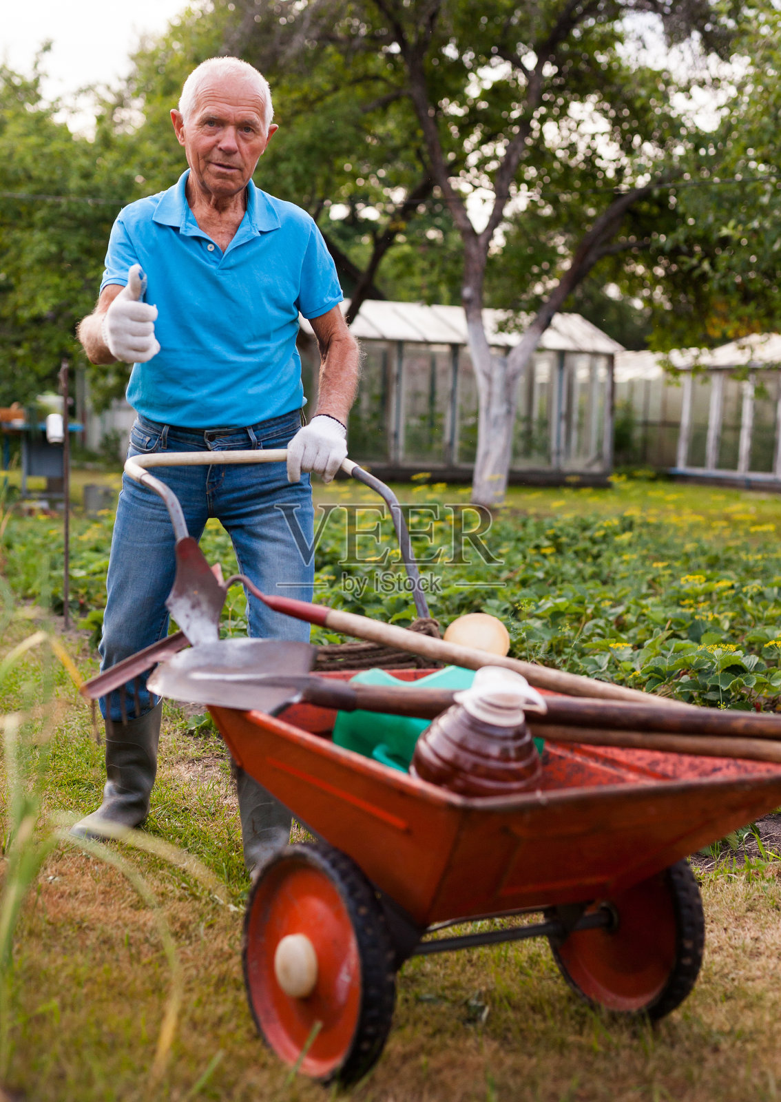 白发苍苍的老人在花园里干活照片摄影图片