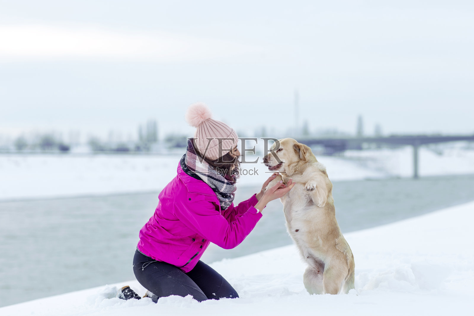 一个年轻女子在冬天的雪地里和她的拉布拉多猎犬玩耍照片摄影图片