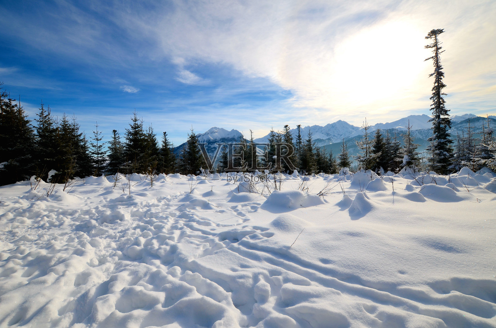 山上的冬季森林照片摄影图片