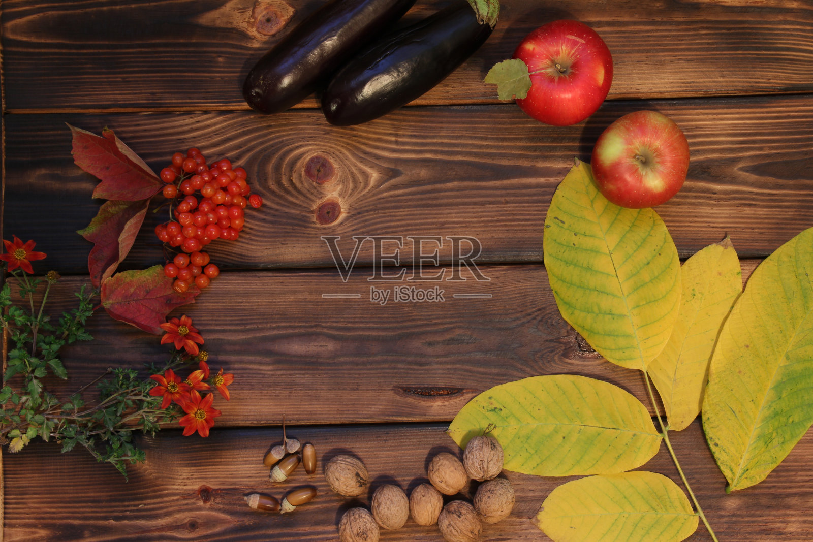 木制背景上的秋天的构图。荚蒾，坚果，叶子和茄子照片摄影图片