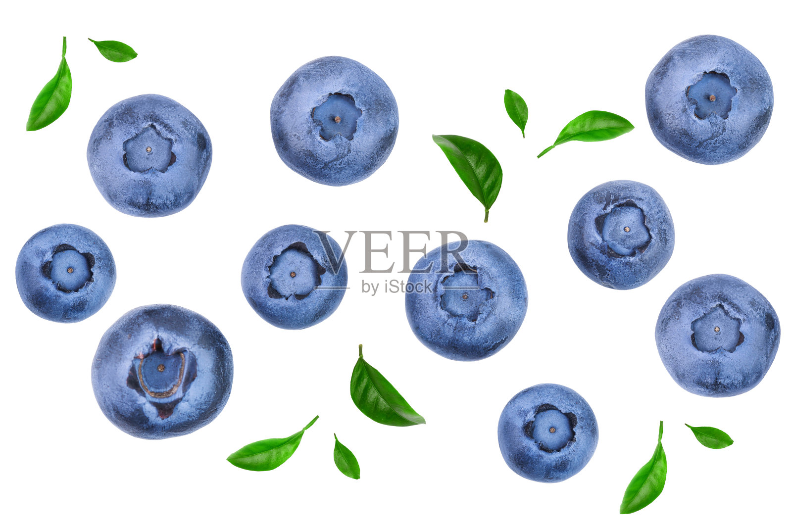 新鲜成熟的蓝莓，叶子孤立在白色背景上。前视图。平躺模式照片摄影图片