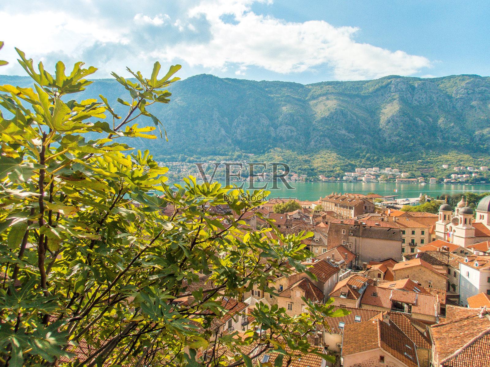 这是克罗地亚佩列沙茨一个沿海村庄的屋顶照片摄影图片