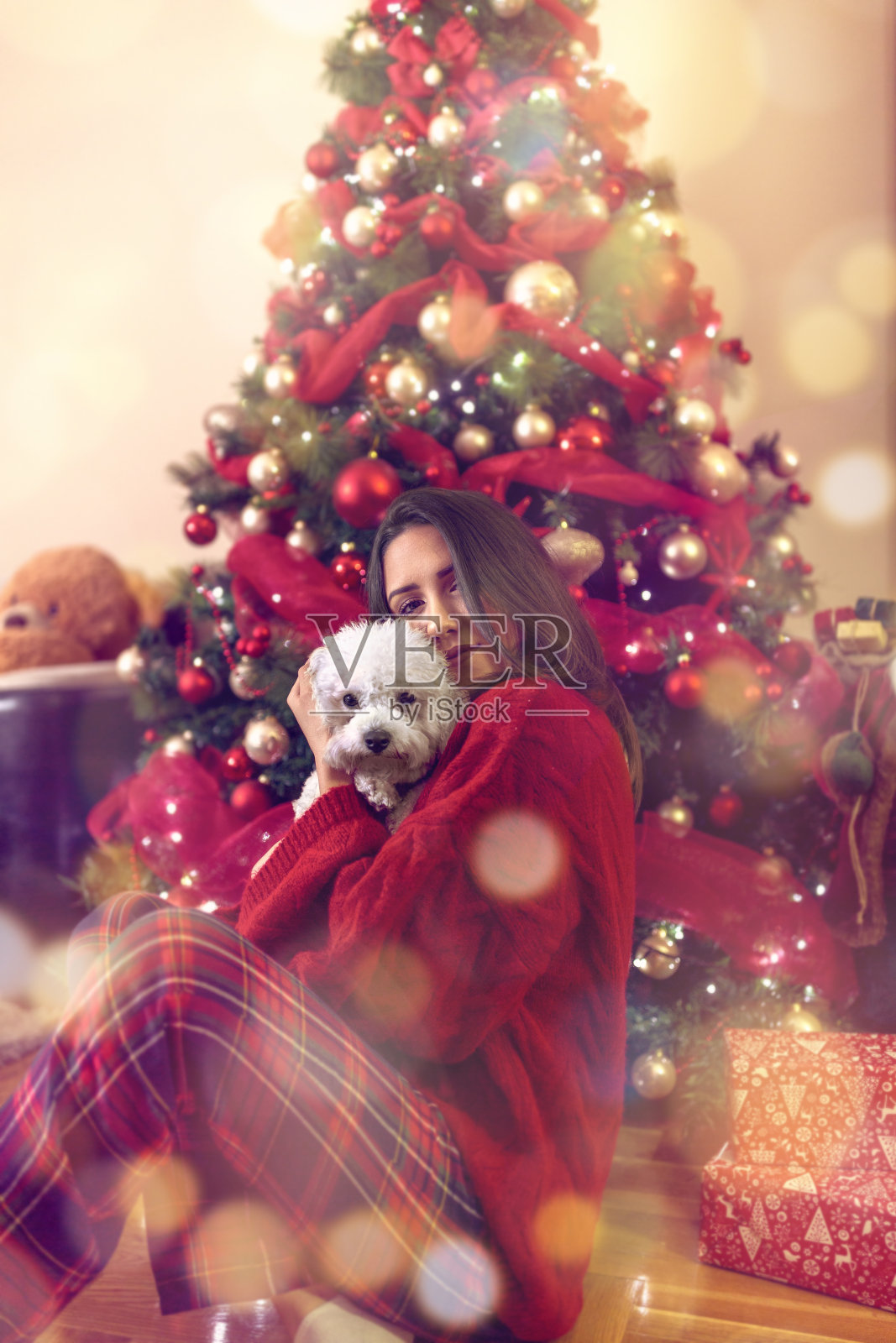 快乐的女孩拥抱可爱的小狗在圣诞节假期照片摄影图片