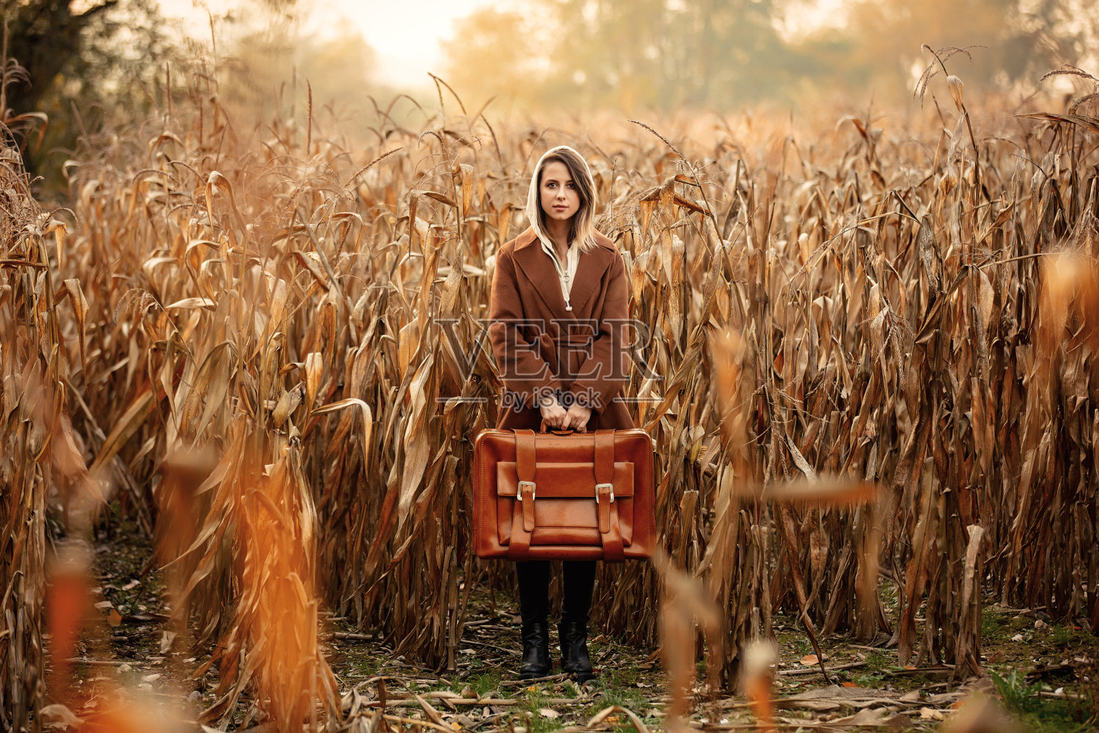 秋日时节，在玉米地里，穿着大衣带着行李箱的时髦女人照片摄影图片