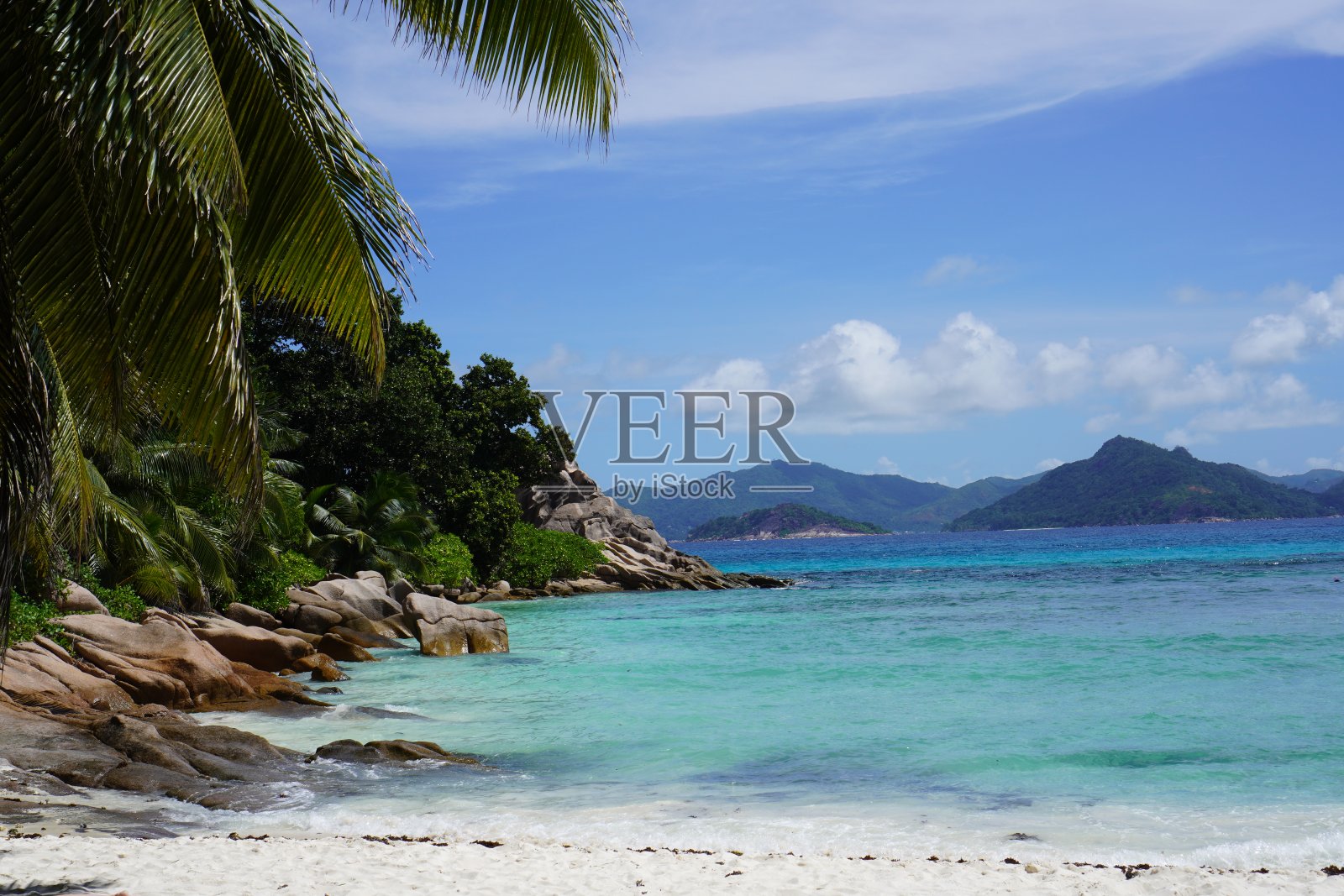 假期照片摄影图片