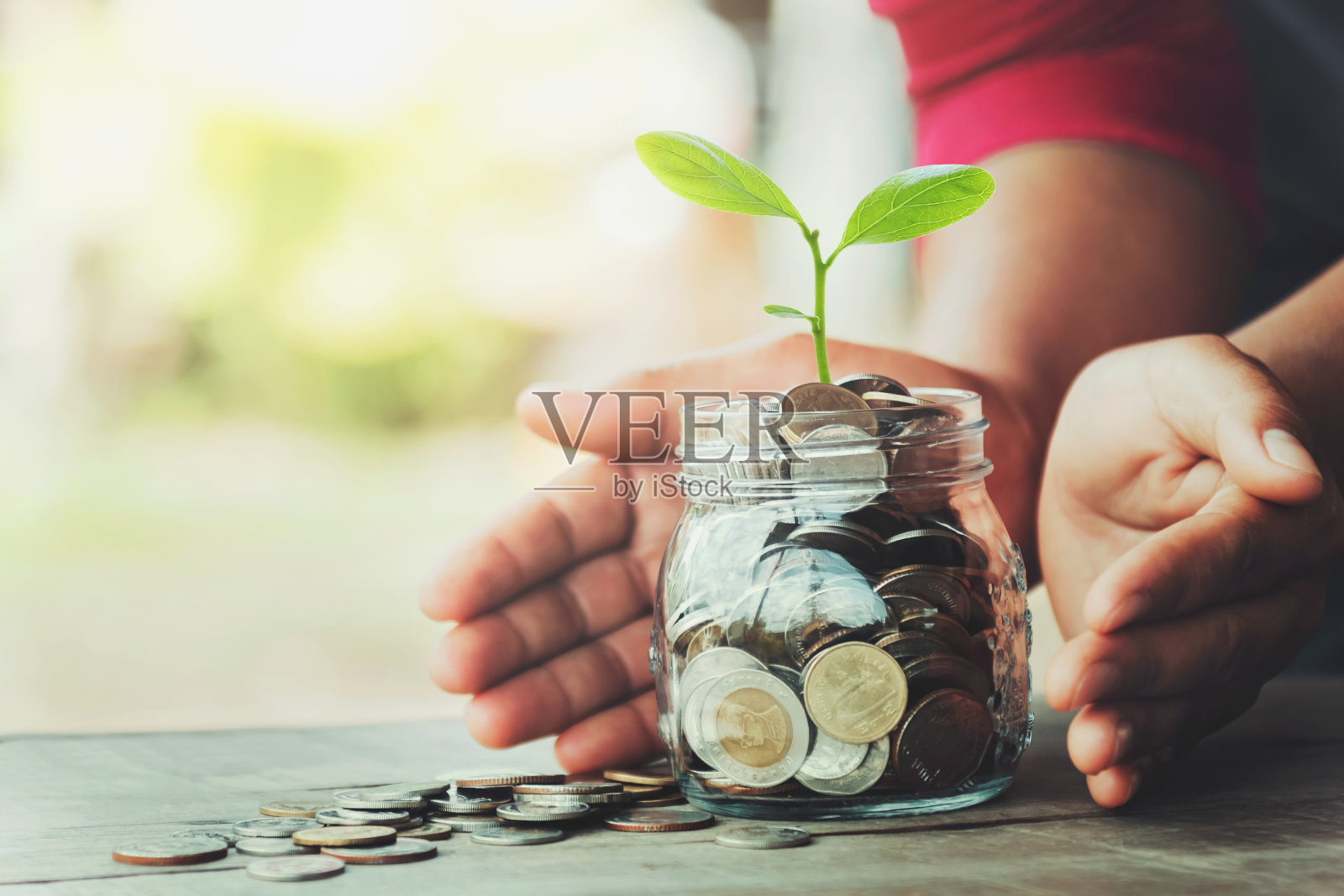 手保护钱与树在水壶玻璃。节约的概念照片摄影图片