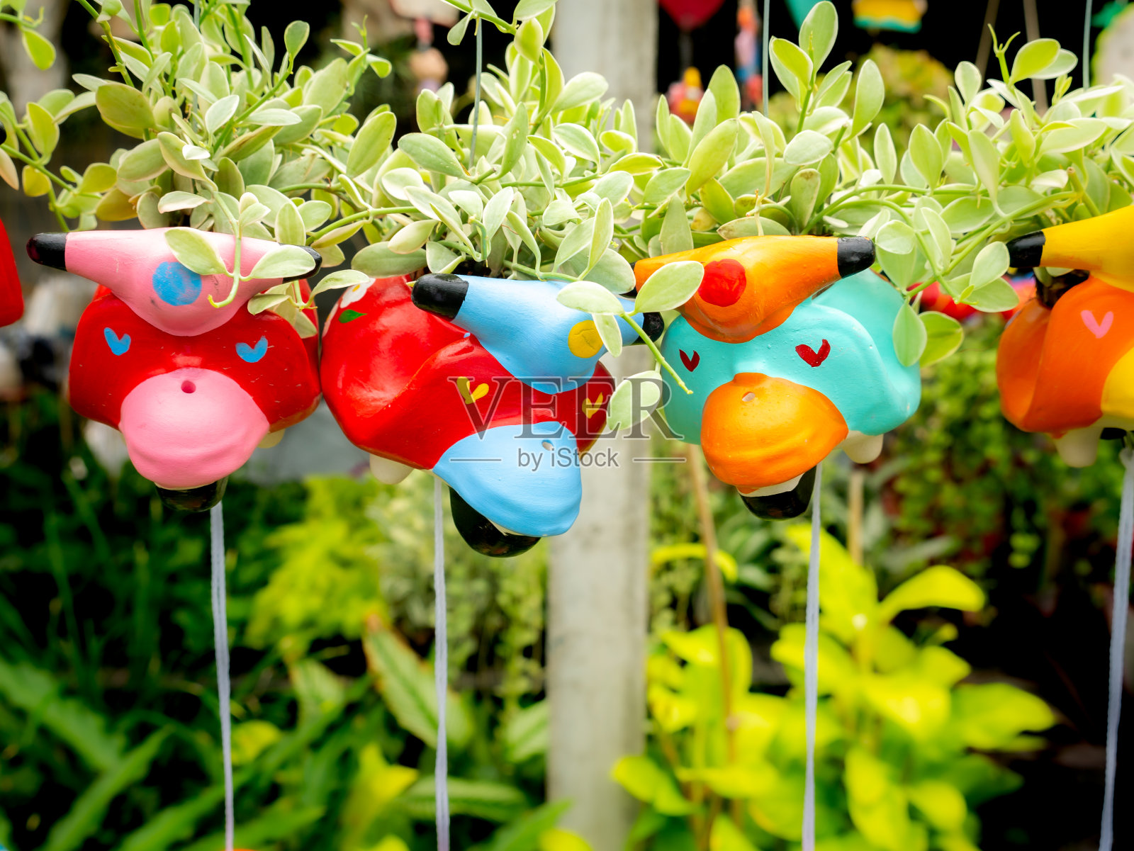 各种颜色的滑板车娃娃照片摄影图片