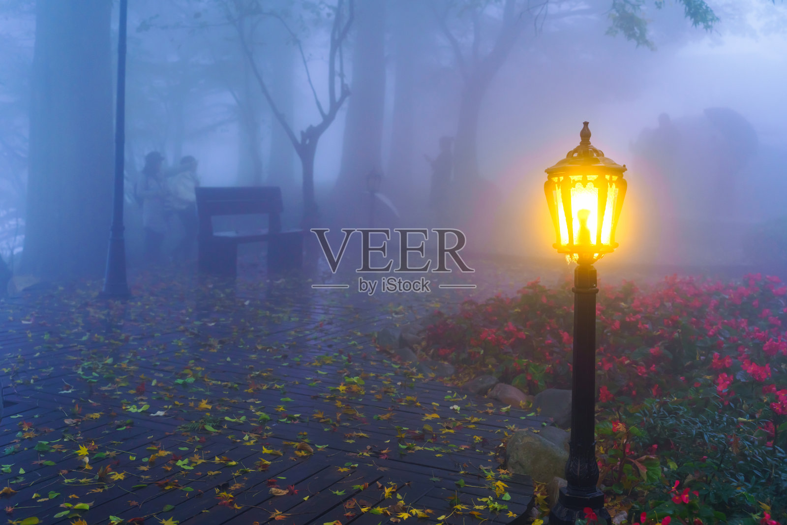 风景优美的道路和灯光照片摄影图片