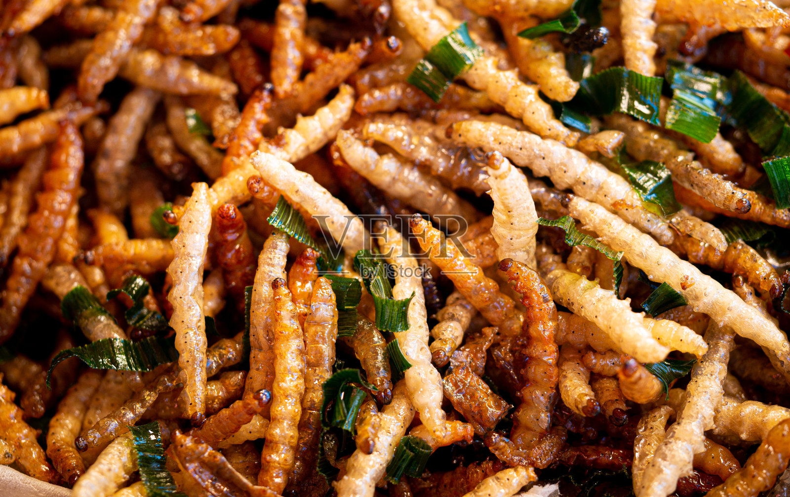 炸昆虫，泰国街头小吃里的炸虫子。照片摄影图片