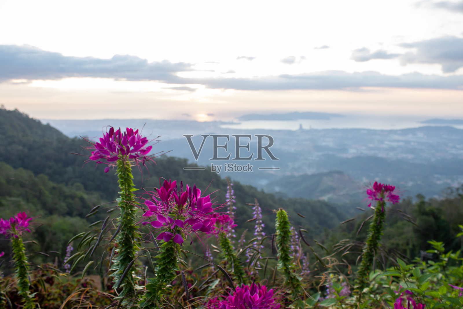 风景优美的哥打基纳巴路景观从一个观点，沙巴，马来西亚照片摄影图片