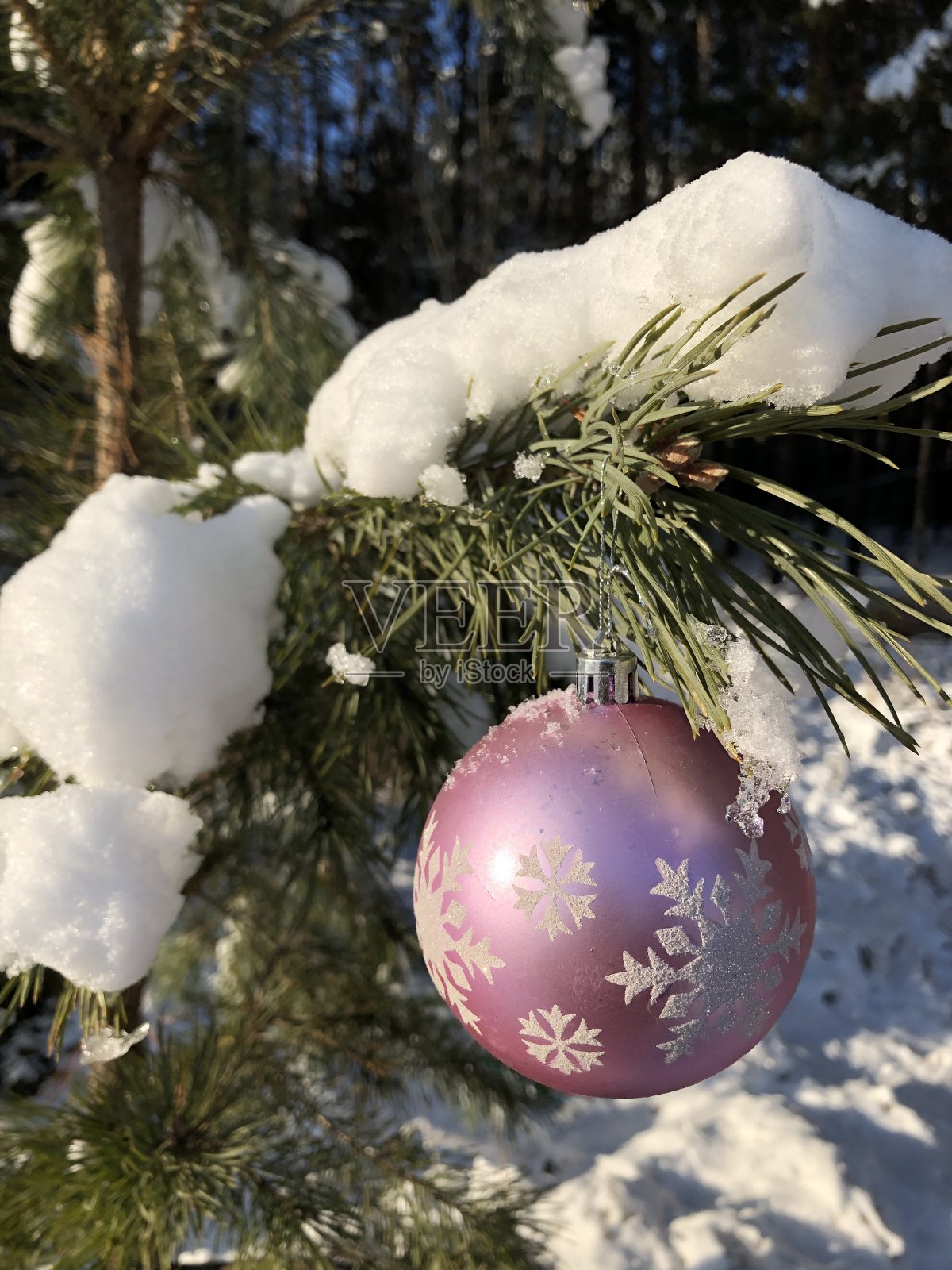 冬天在森林里，圣诞球和树上的雪照片摄影图片