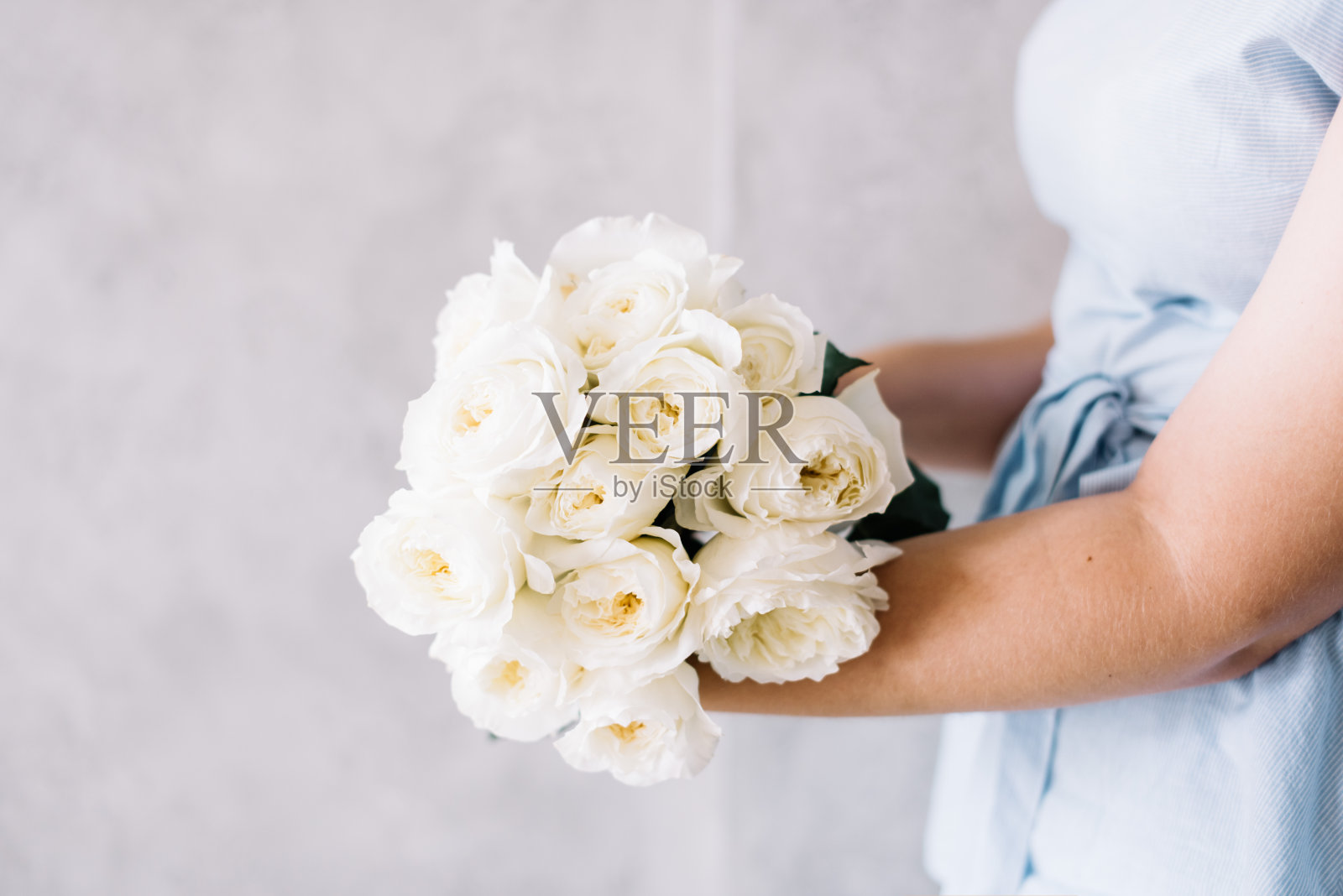 非常漂亮的年轻女子捧着美丽的鲜花，新鲜的白色大卫奥斯汀玫瑰花束在灰色的墙壁背景照片摄影图片