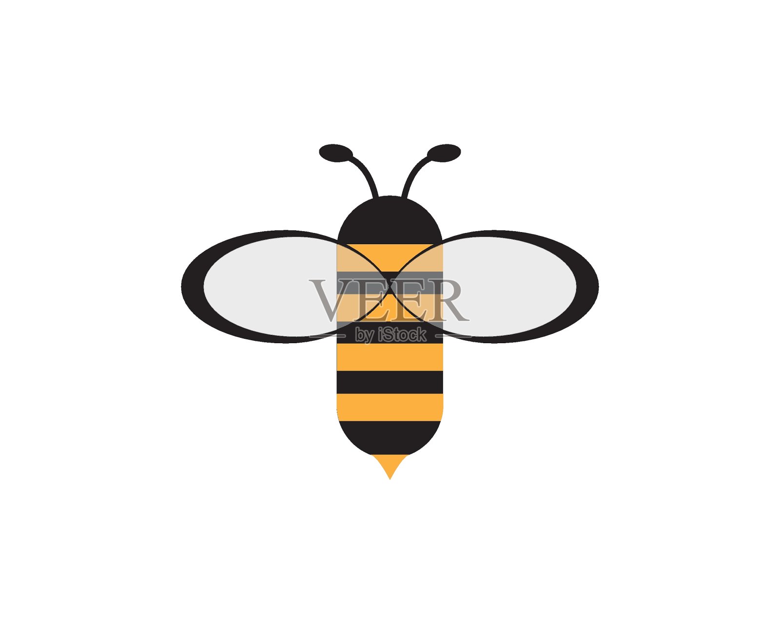 蜜蜂模板插画图片素材