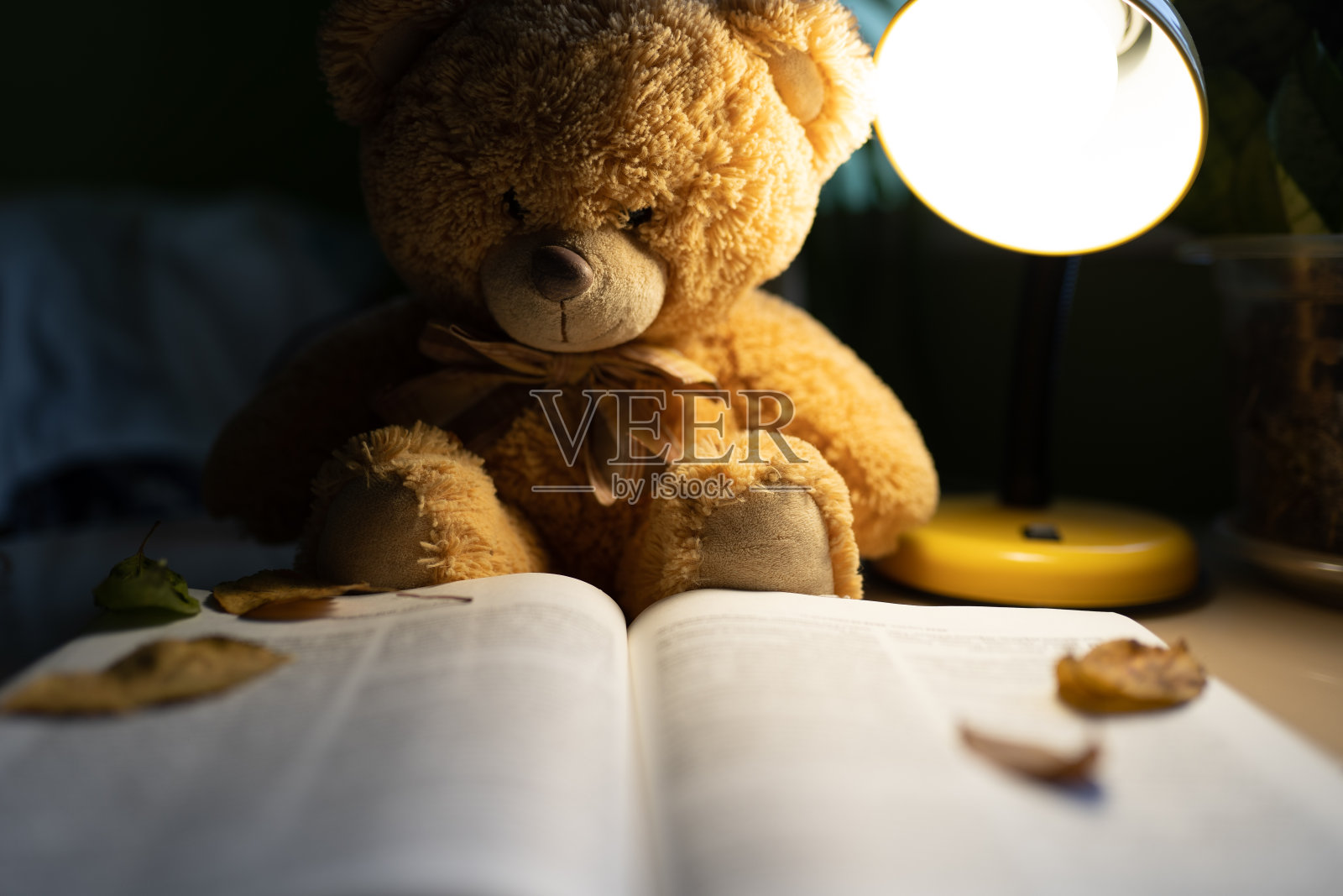 泰迪熊在房间里用夜灯看书照片摄影图片
