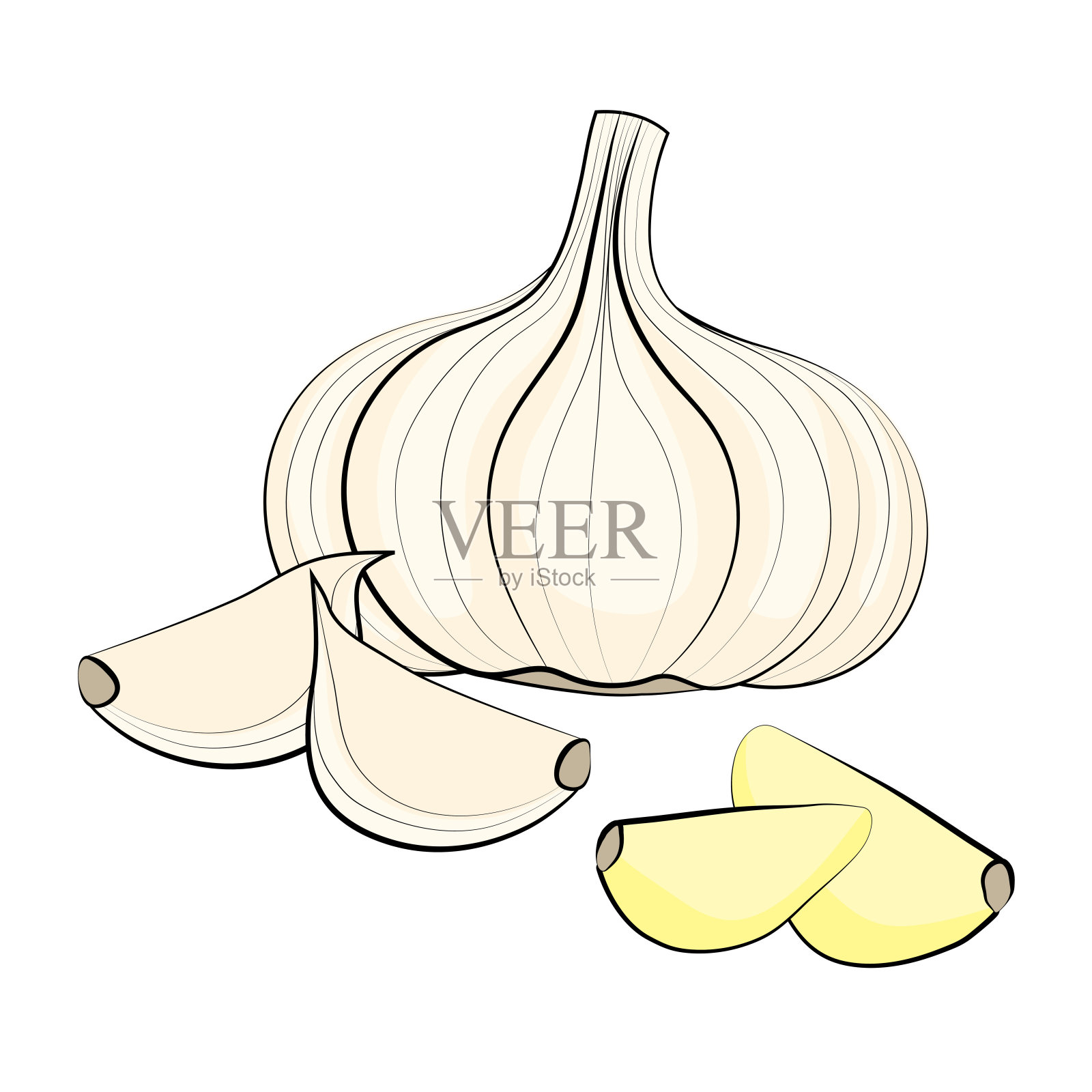 病媒孤立的丁香和切片大蒜在白色的背景插画图片素材