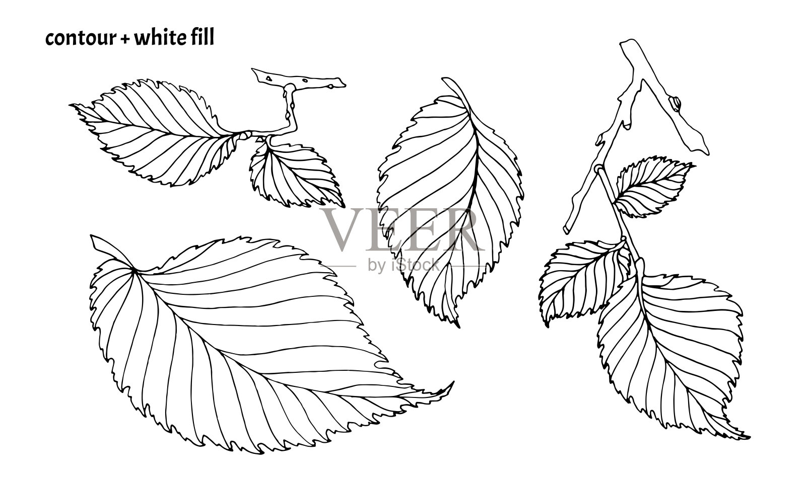 一套手绘榆树叶在涂鸦风格与黑色轮廓和白色填充。插画图片素材