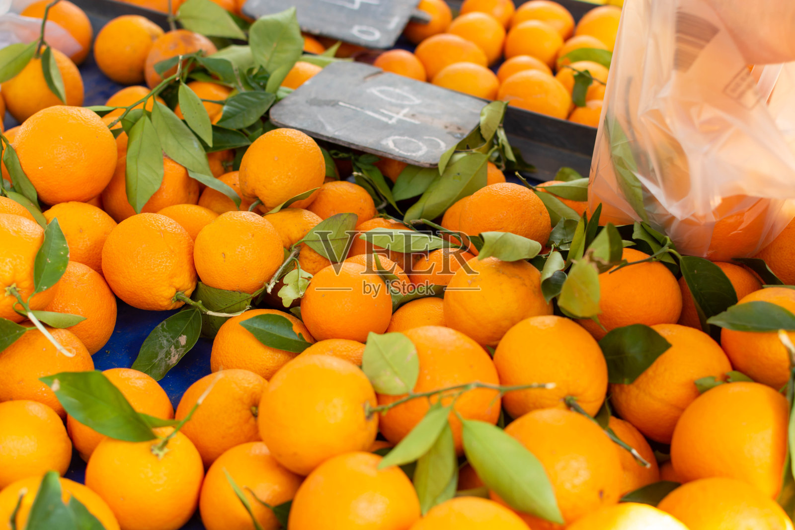 新收获的成熟甜橙水果上市照片摄影图片