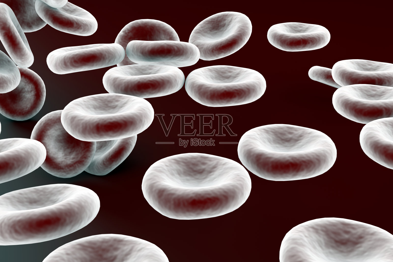 血细胞概念3D渲染照片摄影图片