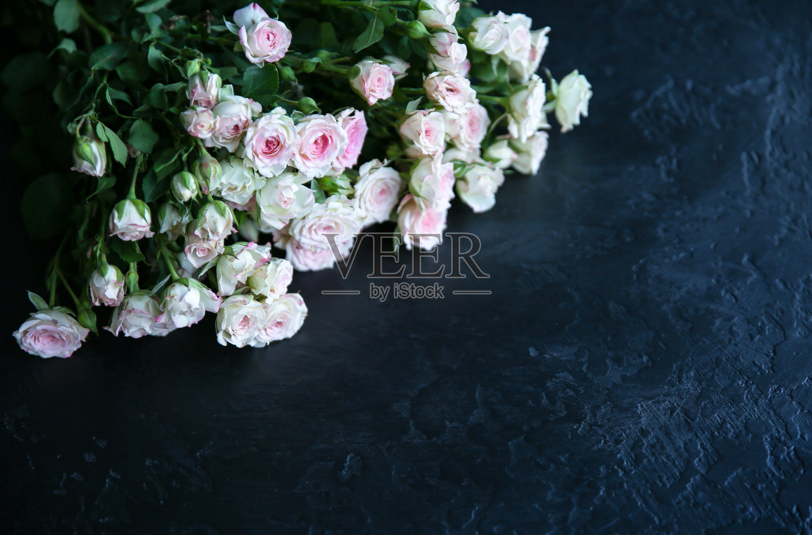 美丽的花在黑色的背景。玫瑰花束。完美的平面。母亲节快乐的明信片。妇女节祝福语。广告或促销的时髦想法。照片摄影图片