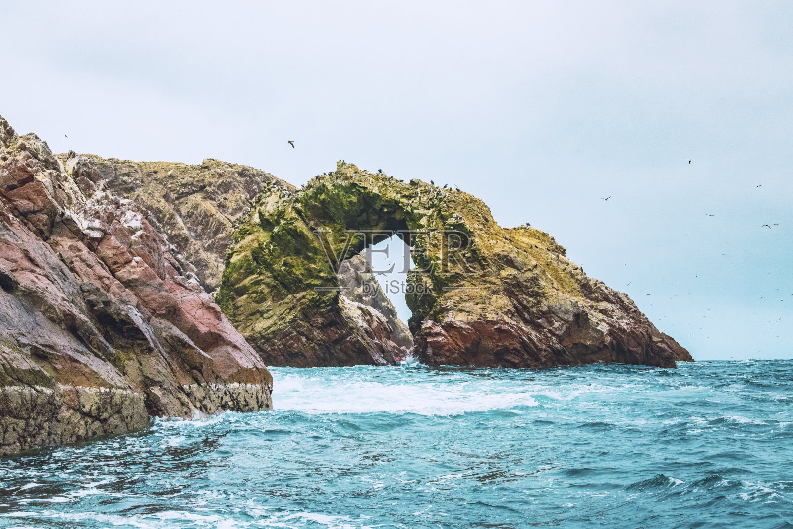 秘鲁的Ballestas群岛国家保护区照片摄影图片