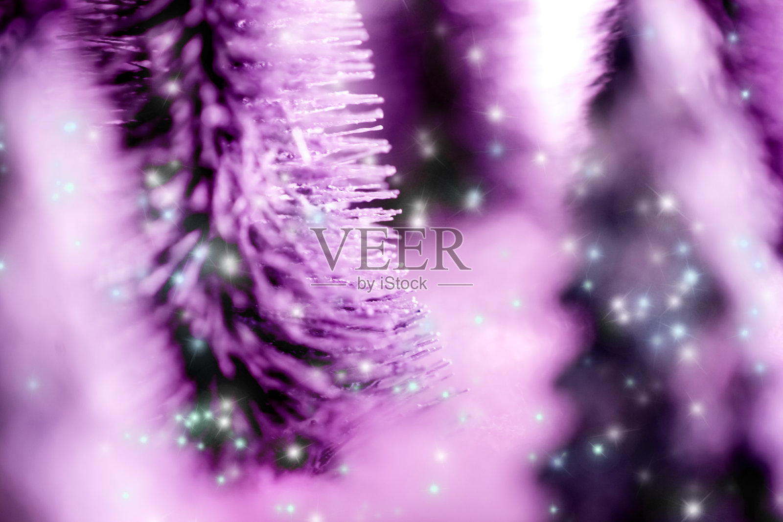 森林里的迷你雪圣诞树。散景灯的背景照片摄影图片