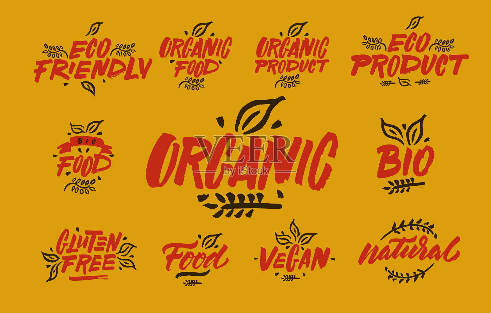 有机的，生态的，生物的，天然的，vecan，谷蛋白插画图片素材