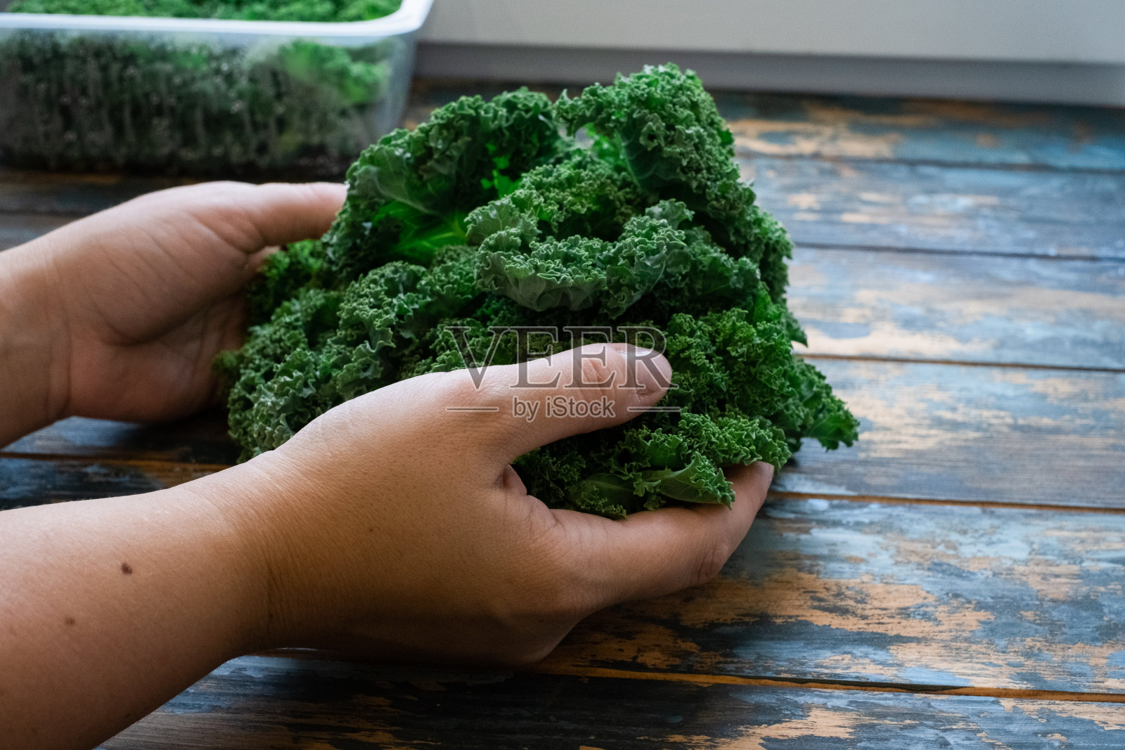 她手里拿着新鲜收获的有机甘蓝，放在木质背景上照片摄影图片