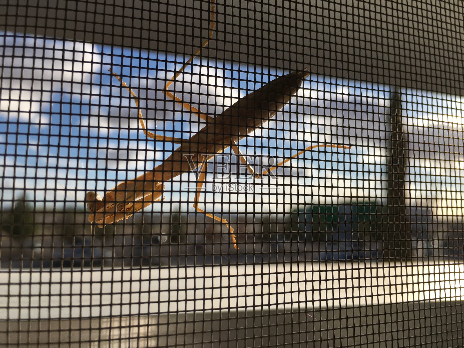 自然x技术照片摄影图片