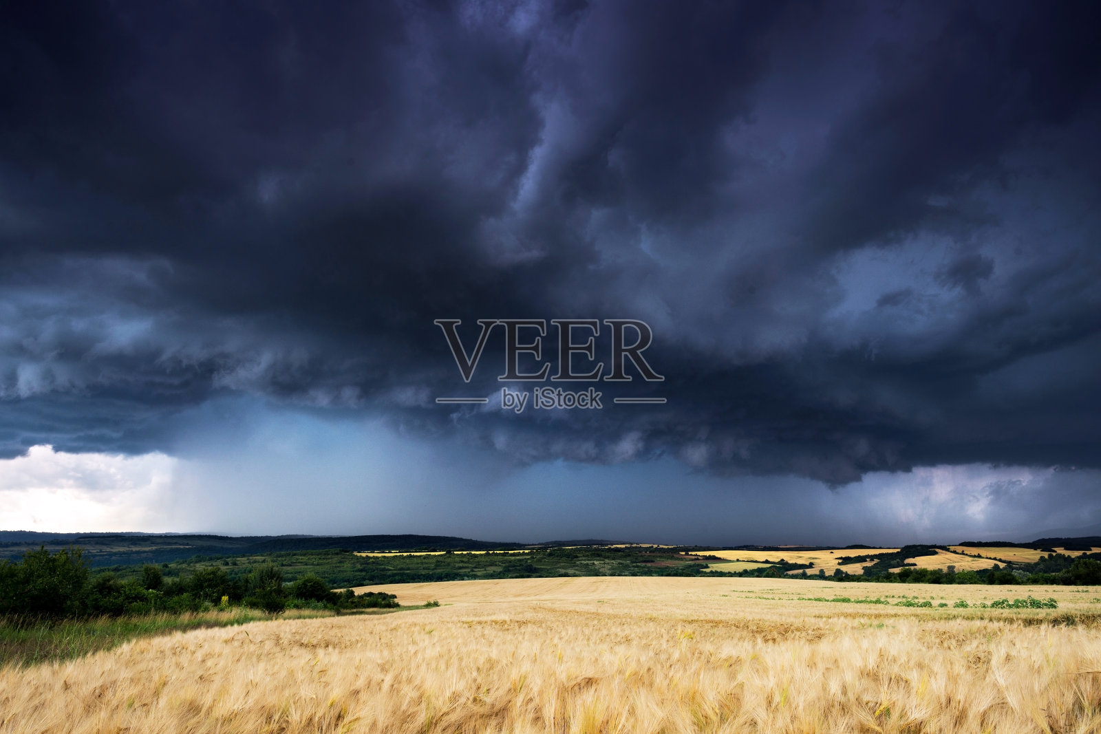 在保加利亚的麦田里，美丽的结构暴雨在夏天照片摄影图片