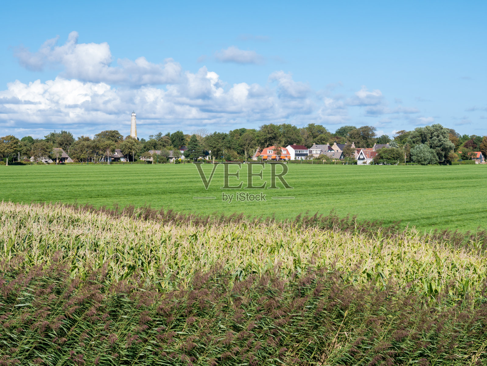 荷兰弗里斯兰岛的水塔和草地照片摄影图片