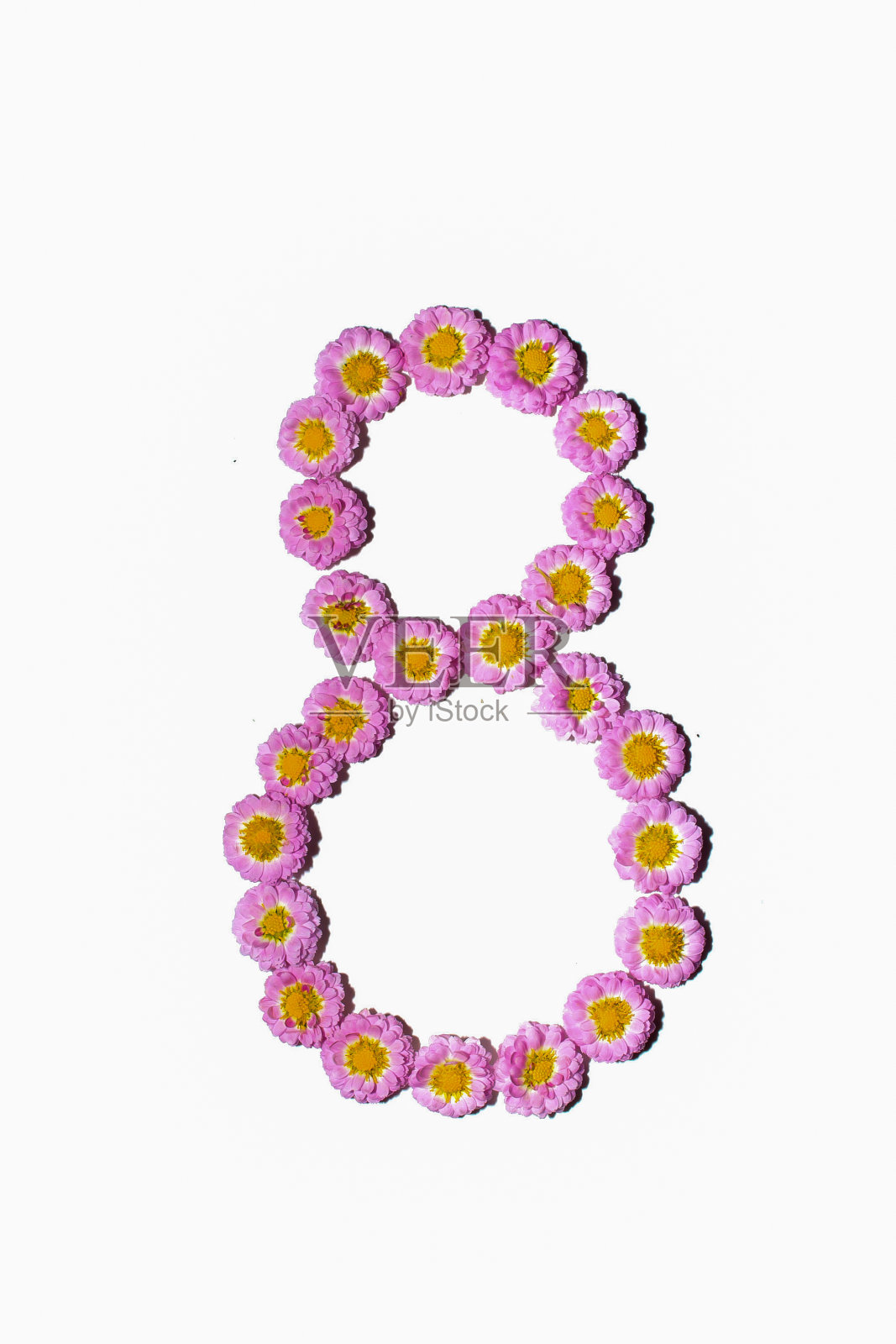 菊花字母表照片摄影图片