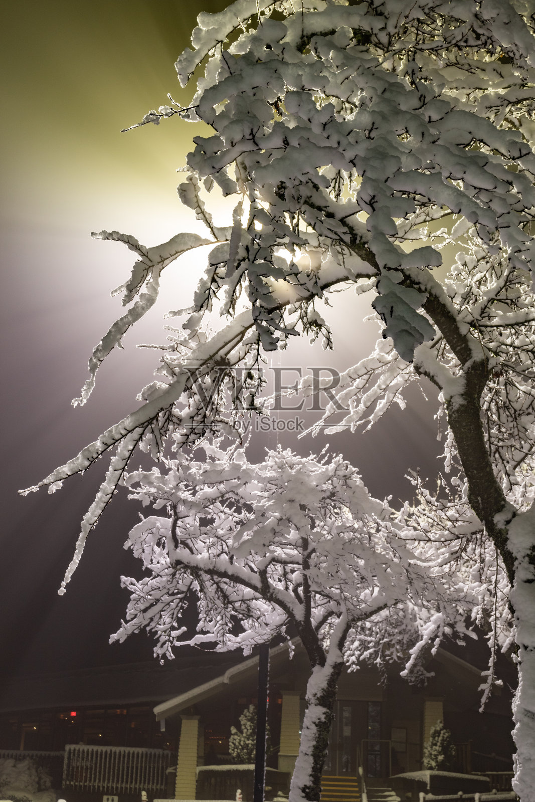 冬雪公园小巷夜光景观。雪地长椅上的冬夜公园小巷全景。冬天的雪夜灯光在冬天的城市公园景观照片摄影图片