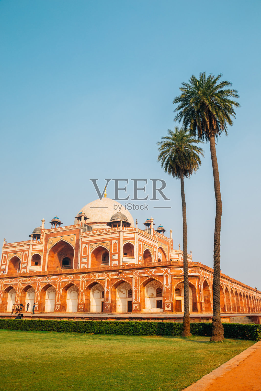 印度德里的胡马雍墓和棕榈树照片摄影图片