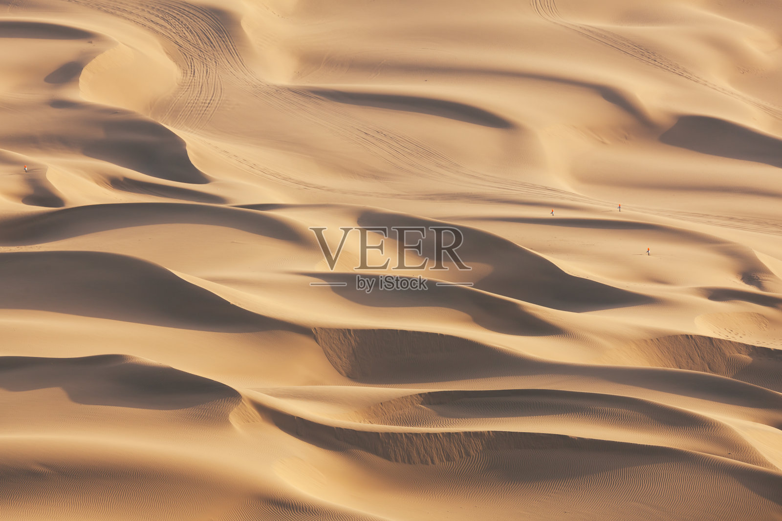 沙漠中的越野车痕迹照片摄影图片