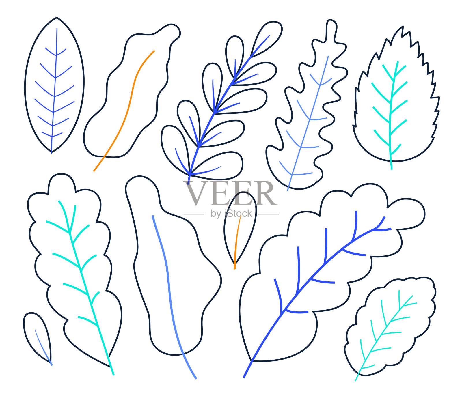 一套手绘植物叶子在轮廓风格矢量股票插图孤立在白色背景插画图片素材