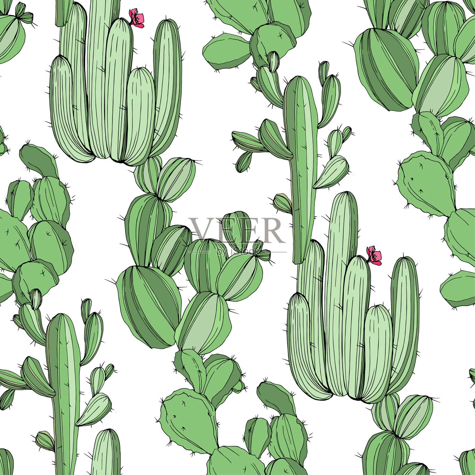 向量绿色的仙人掌。绿色刻墨艺术。无缝的背景图案。织物墙纸印花纹理。设计元素图片
